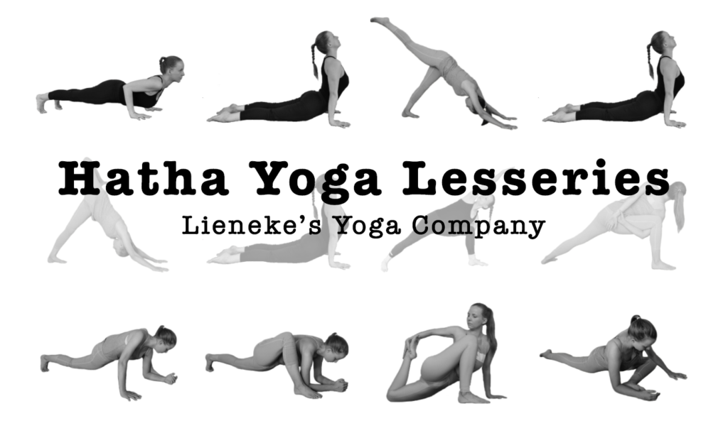 hatha yoga lesseries