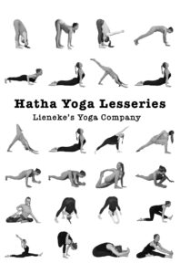 hatha yoga lesseries boek